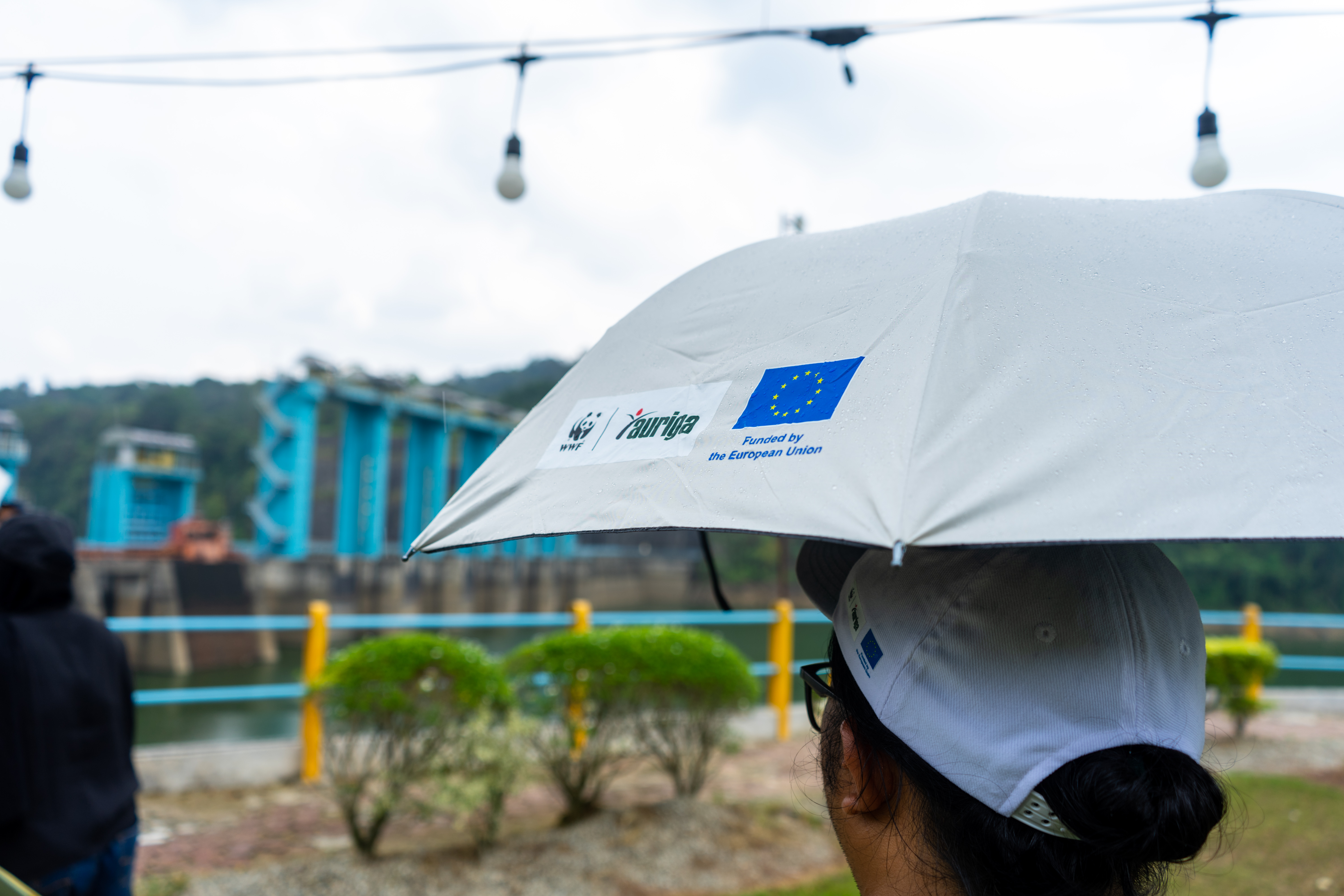 Enabling Civil Society's Contribution for Sustainable Development