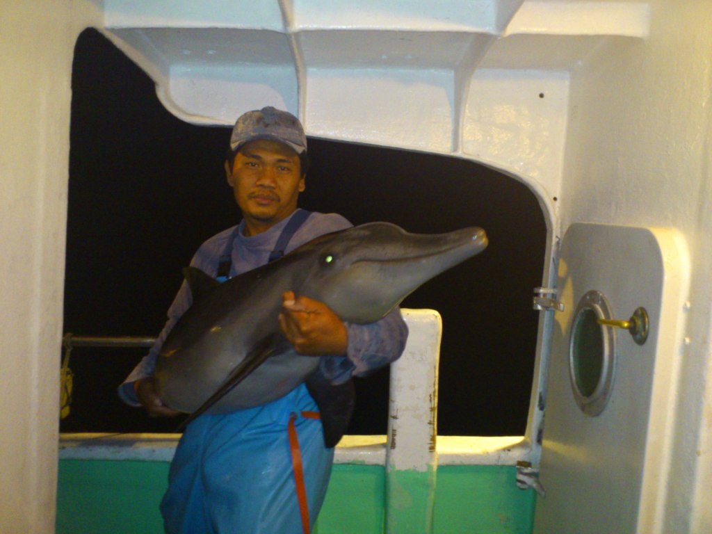 MARINE MAMMALS SPECIALIST