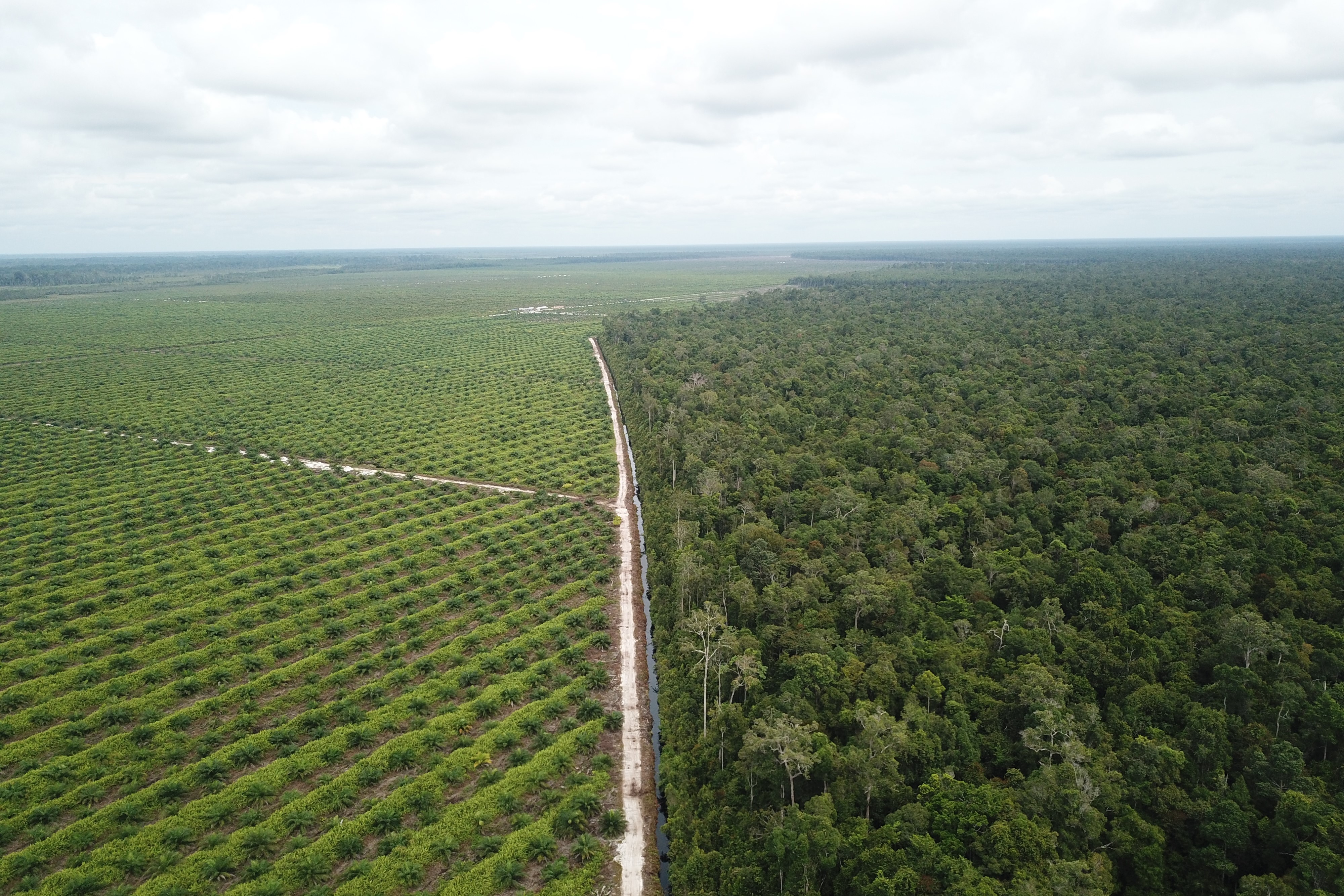 SUSTAINABLE COMMODITY