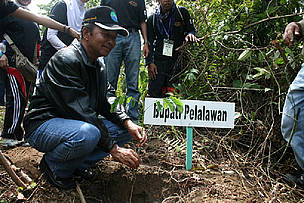 Tesso Nilo NP Restoration