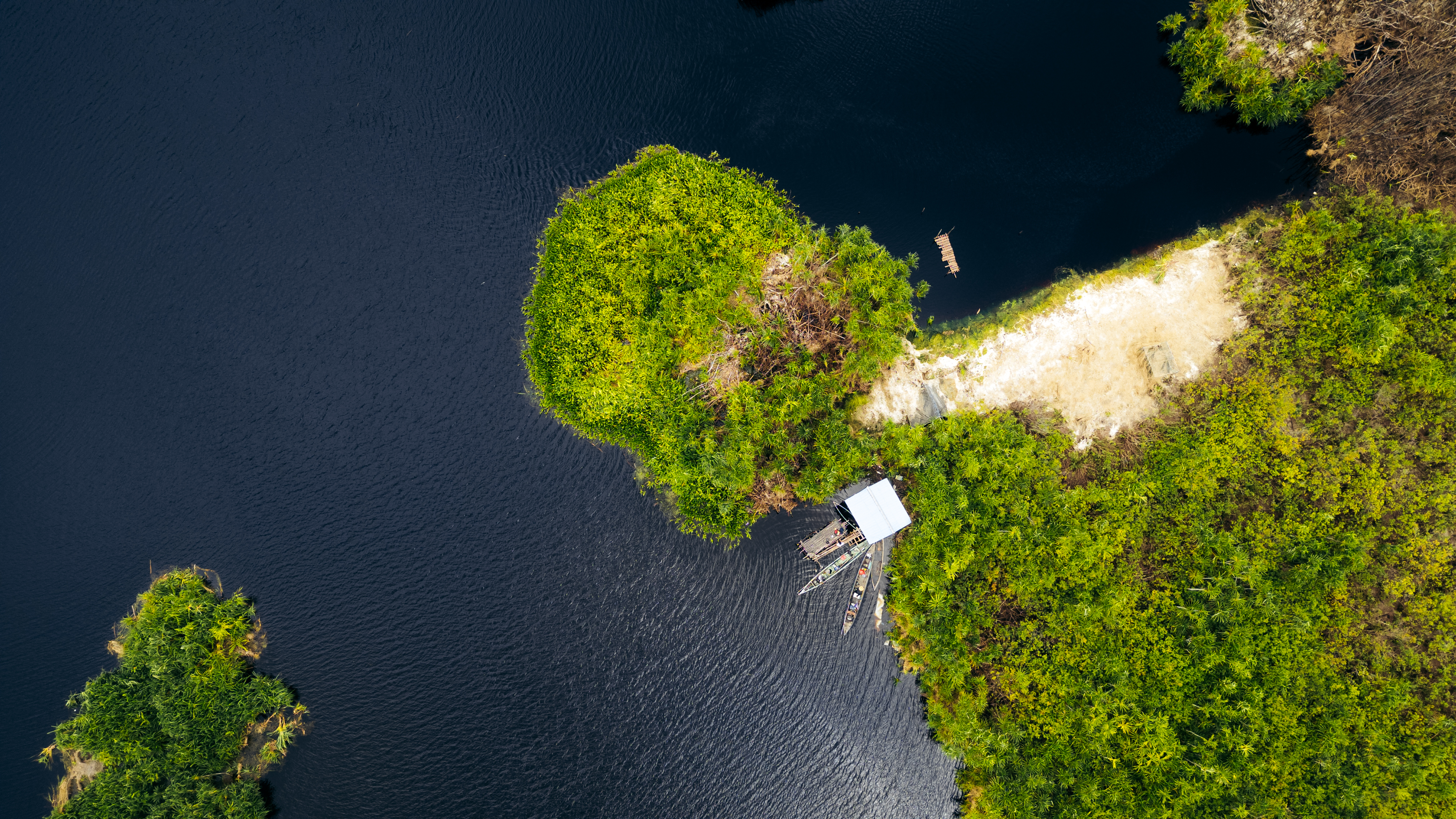 Financial Report FY 2025