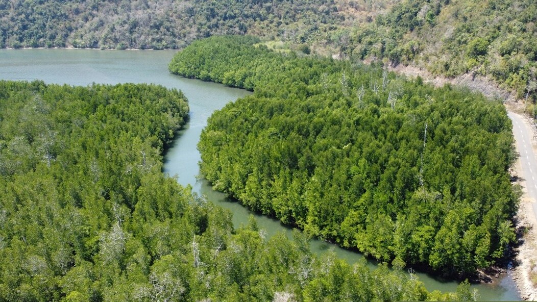 Community Empowerment to Protect Mangrove Ecosystem in Dusun Rangko