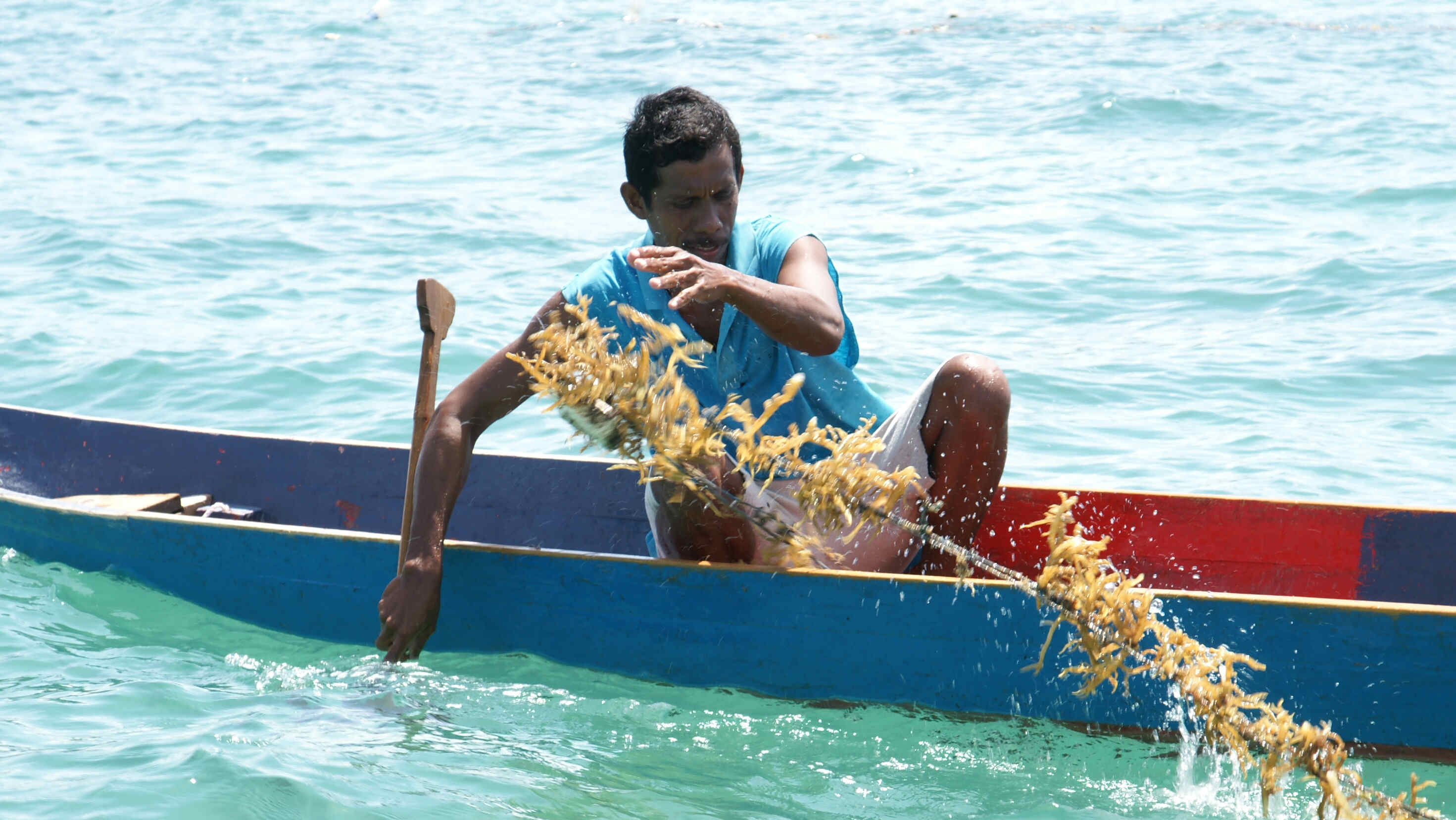 PARIWISATA BERKELANJUTAN