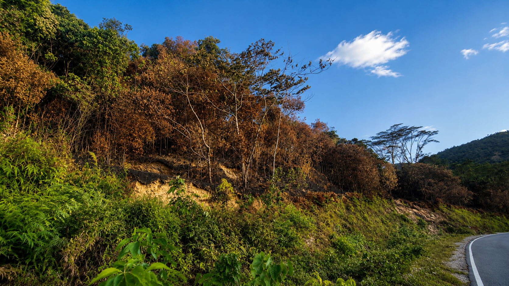 Burn scars on the slopes around Nanggouw Village. The loss of vegetation means not only the loss of trees, but also an increased risk of erosion, drought, and a reduction in wildlife habitat.