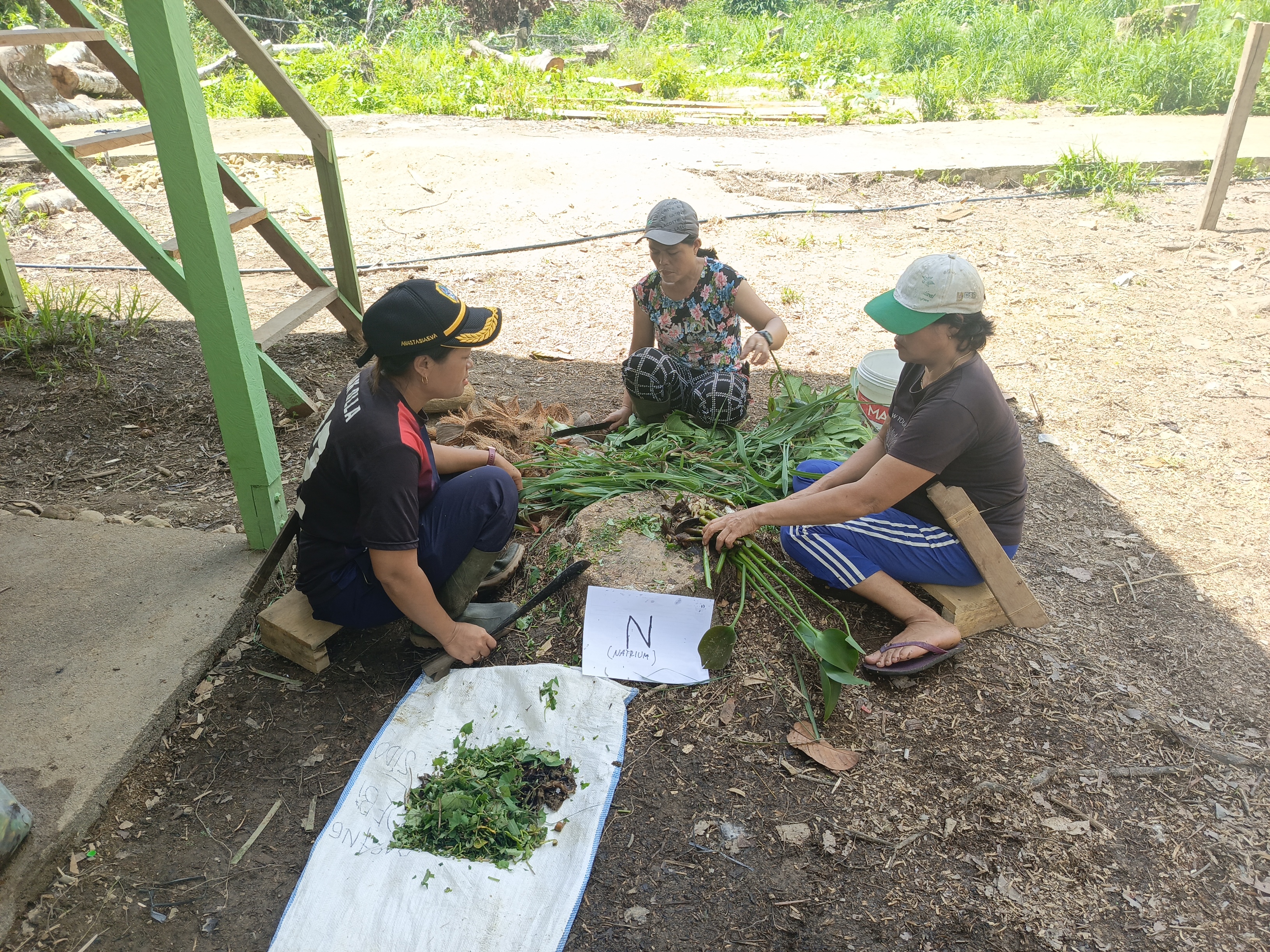 Photo 10. Members of the Penyuguk Lestari Community Forestry Group (KTH) are processing organic waste as part of the organic fertilizer production process. (Photo by WWF Indonesia)
