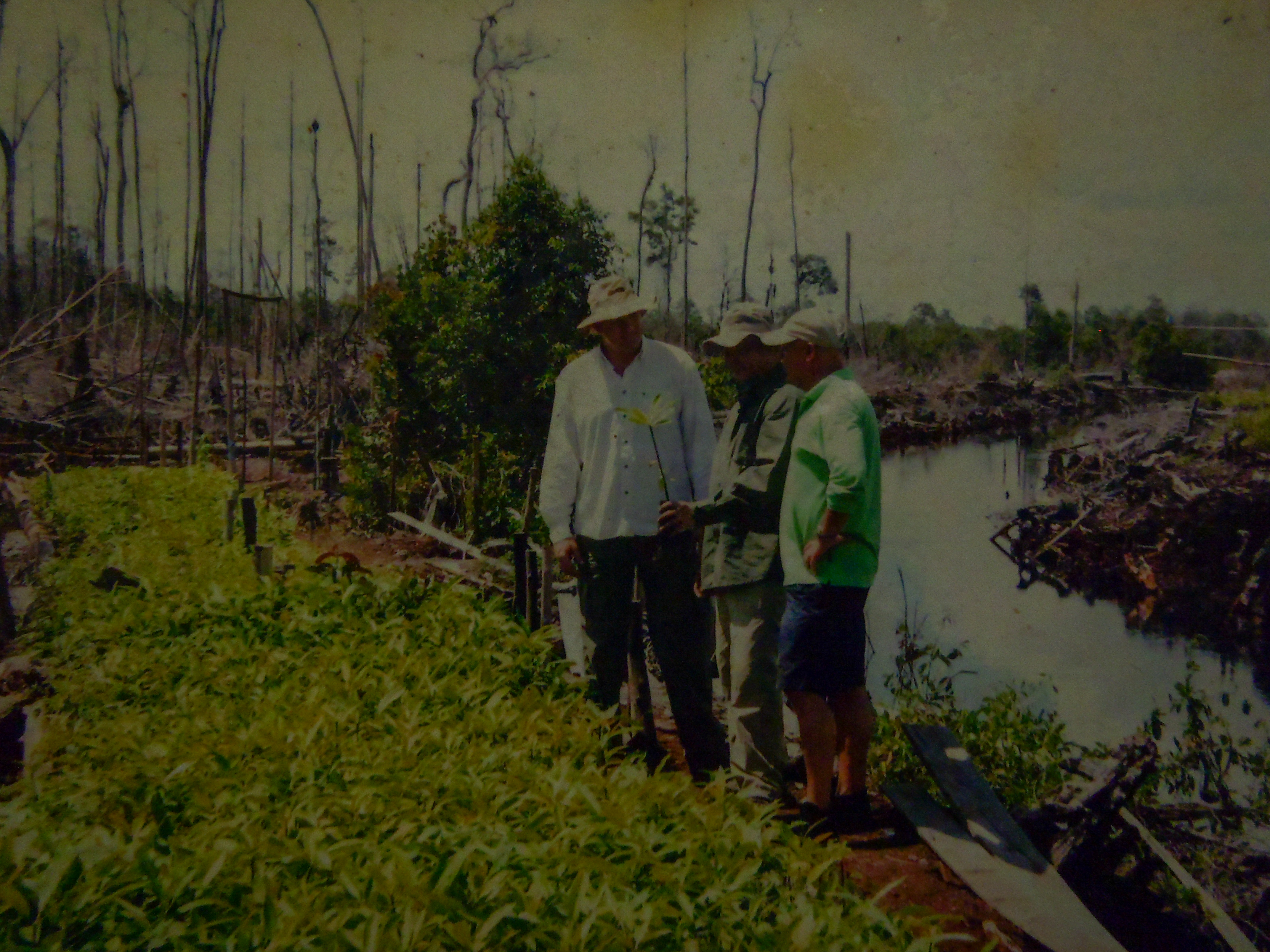 Foto 5. Pembangunan sekat kanal atau dam di area SSI pada tahun 2005 yang didukung oleh WWF Belanda.