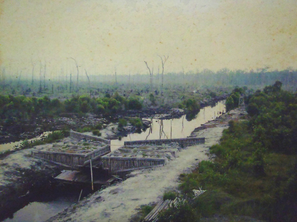 Foto 5. Pembangunan sekat kanal atau dam di area SSI pada tahun 2005 yang didukung oleh WWF Belanda.
