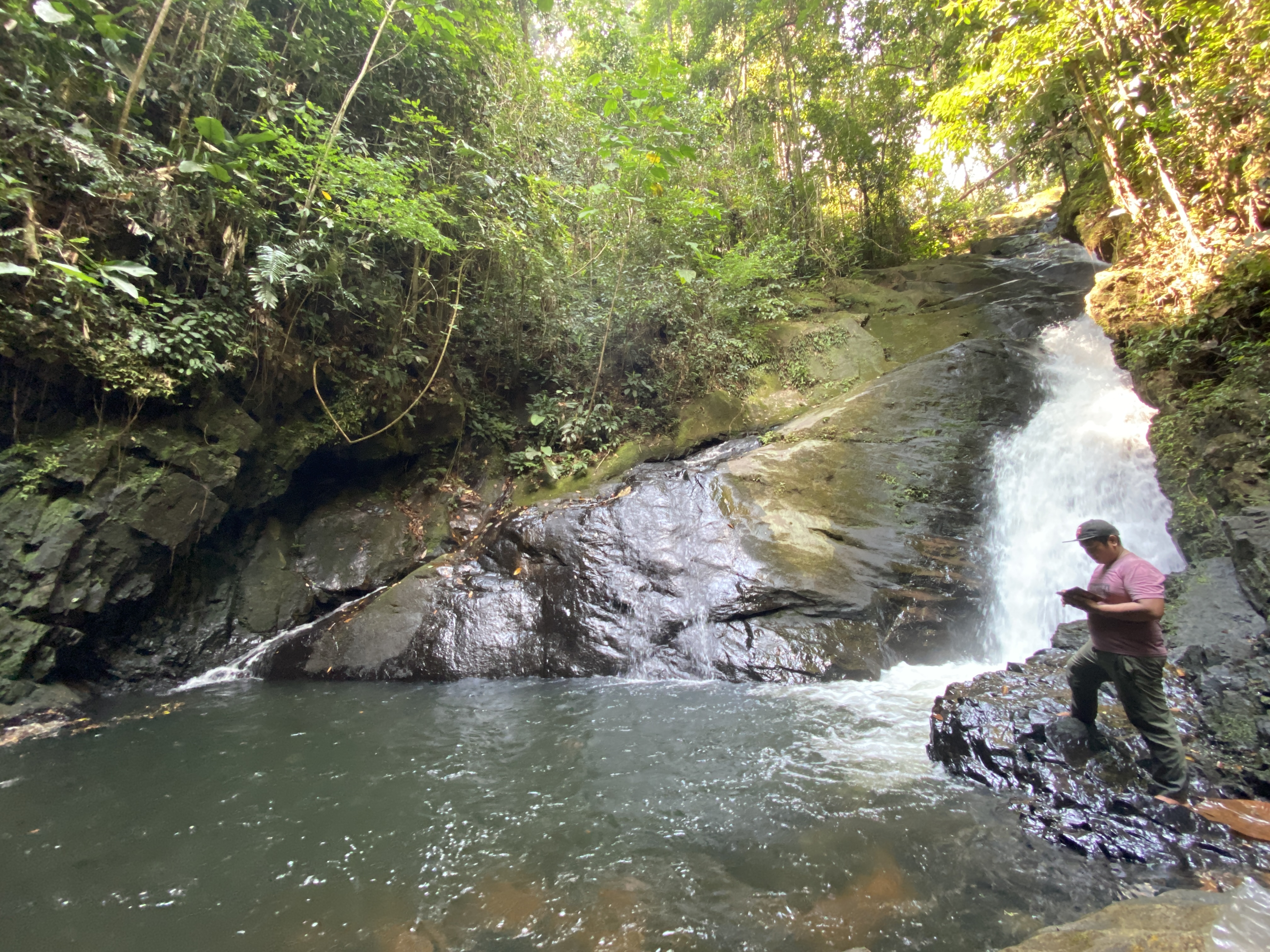 Photo 7. Sudarto captures his visit to Gunung Berasap Waterfall, deep within the Kayu Bunga forest. (Photo by WWF Indonesia/Sebastianus Egi M)