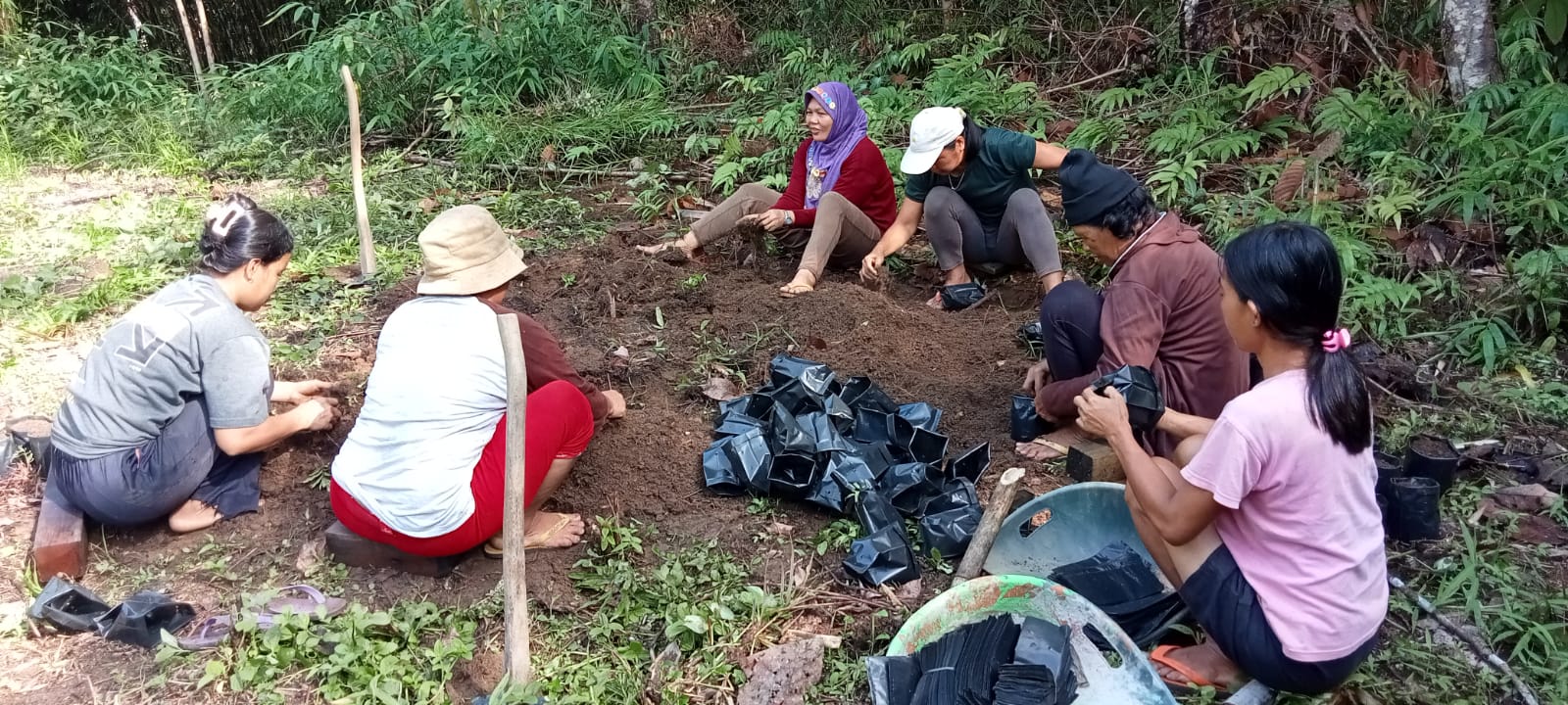 Photo 9. A day in the life of KTH Penyuguk Lestari at the nursery. (Photo by WWF Indonesia/Munaweroh)