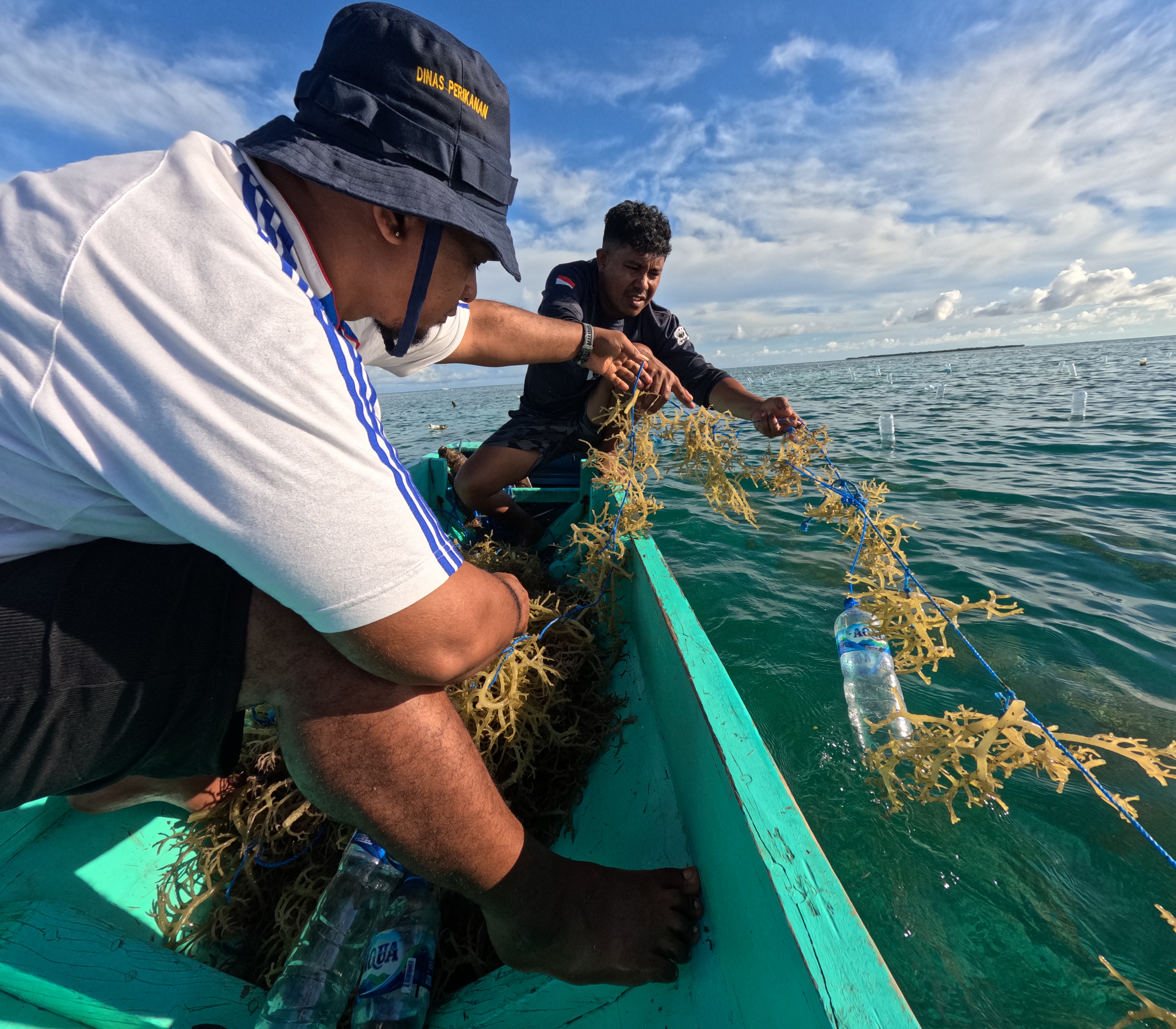 Hands-on session mixing ingredients for seaweed brine (left) and planting seaweed (right). Photo: ©WWF-Indonesia/ Annisa S. Aulia