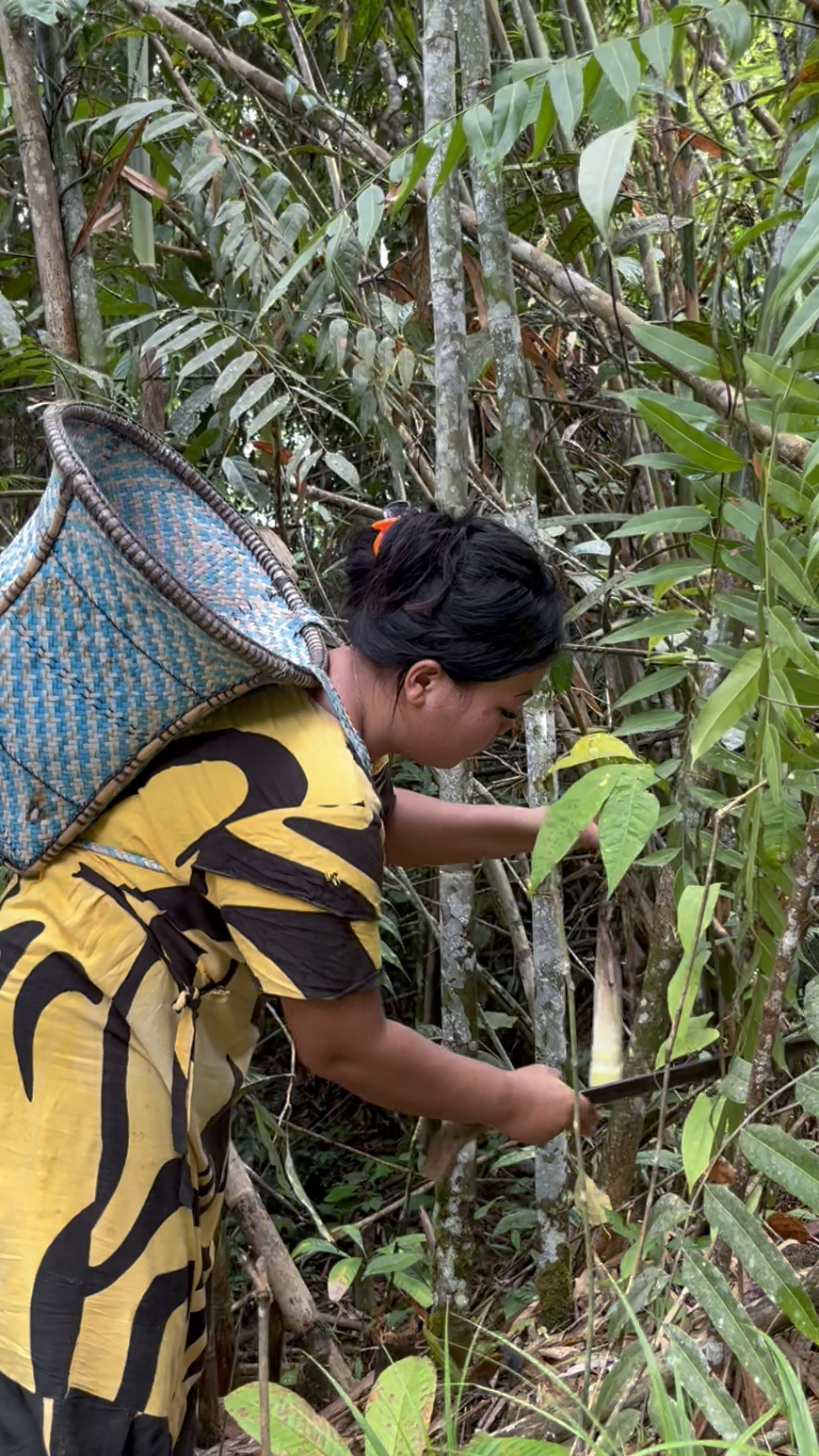 Credit : Khalda Rifa/WWF-Indonesia