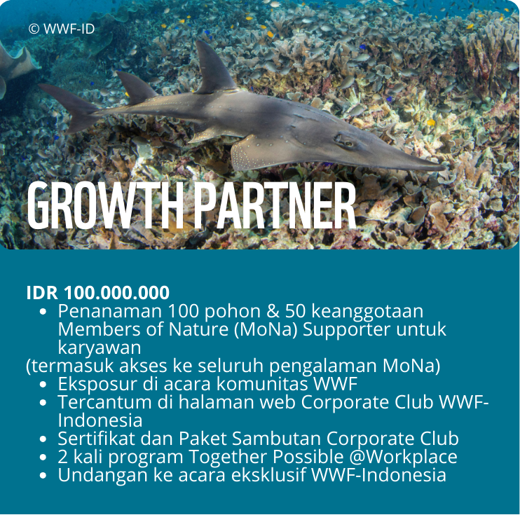 Growth Partner