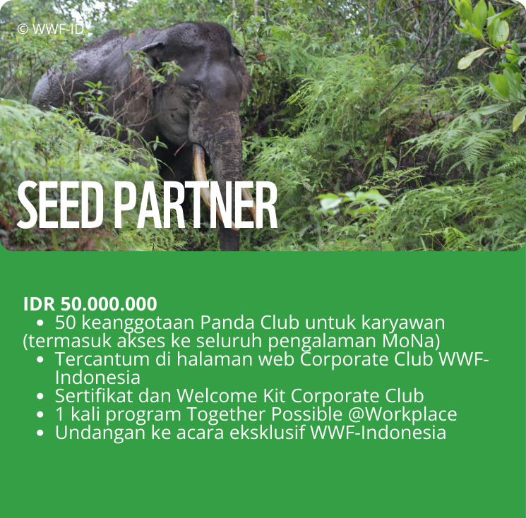 Seed Partner