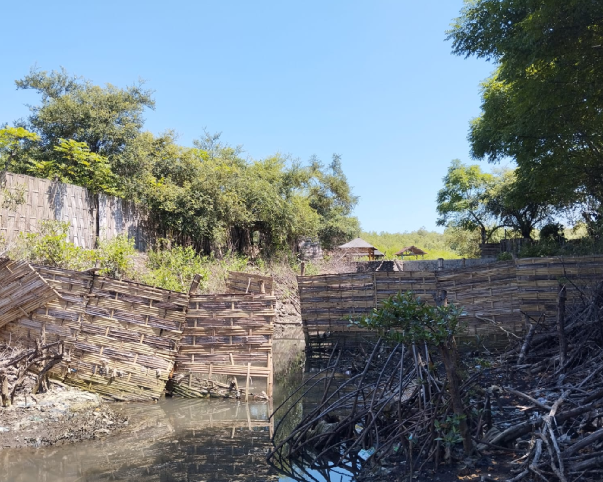 Bamboo Screen at PT Winaros’s Wastewater Treatment Plant
