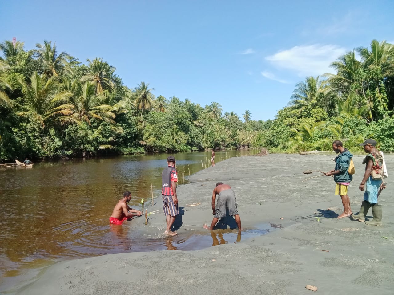 Mangrove Planting