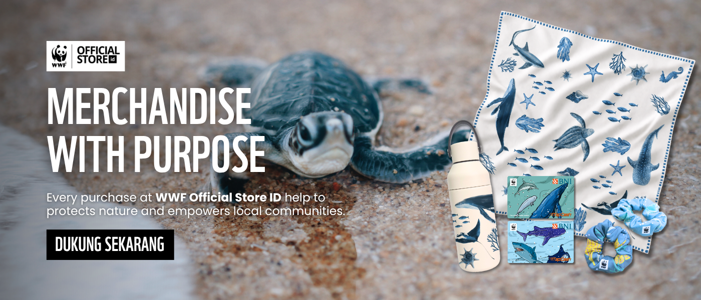 WWF Official Store