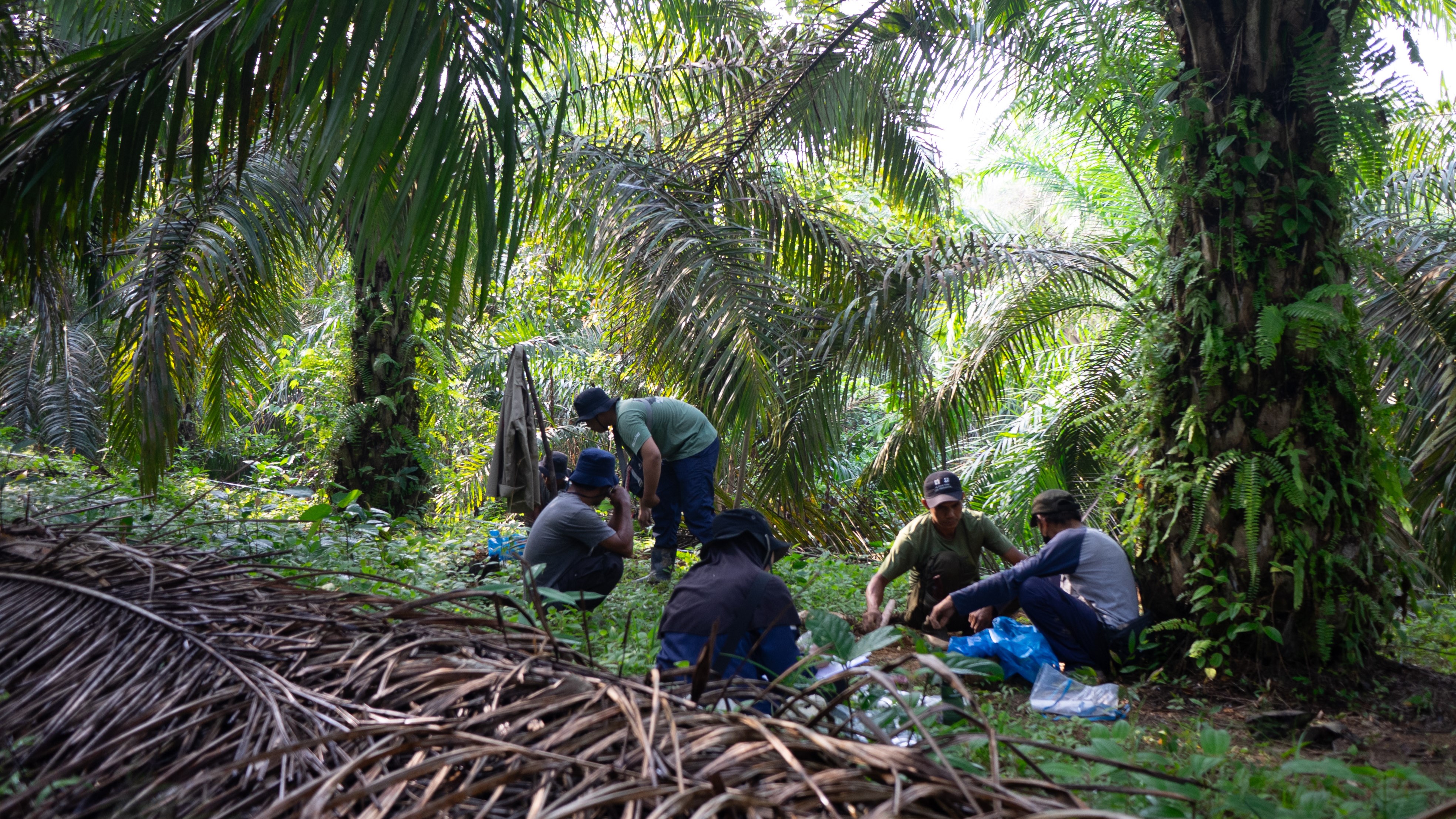 Sustainable Production
