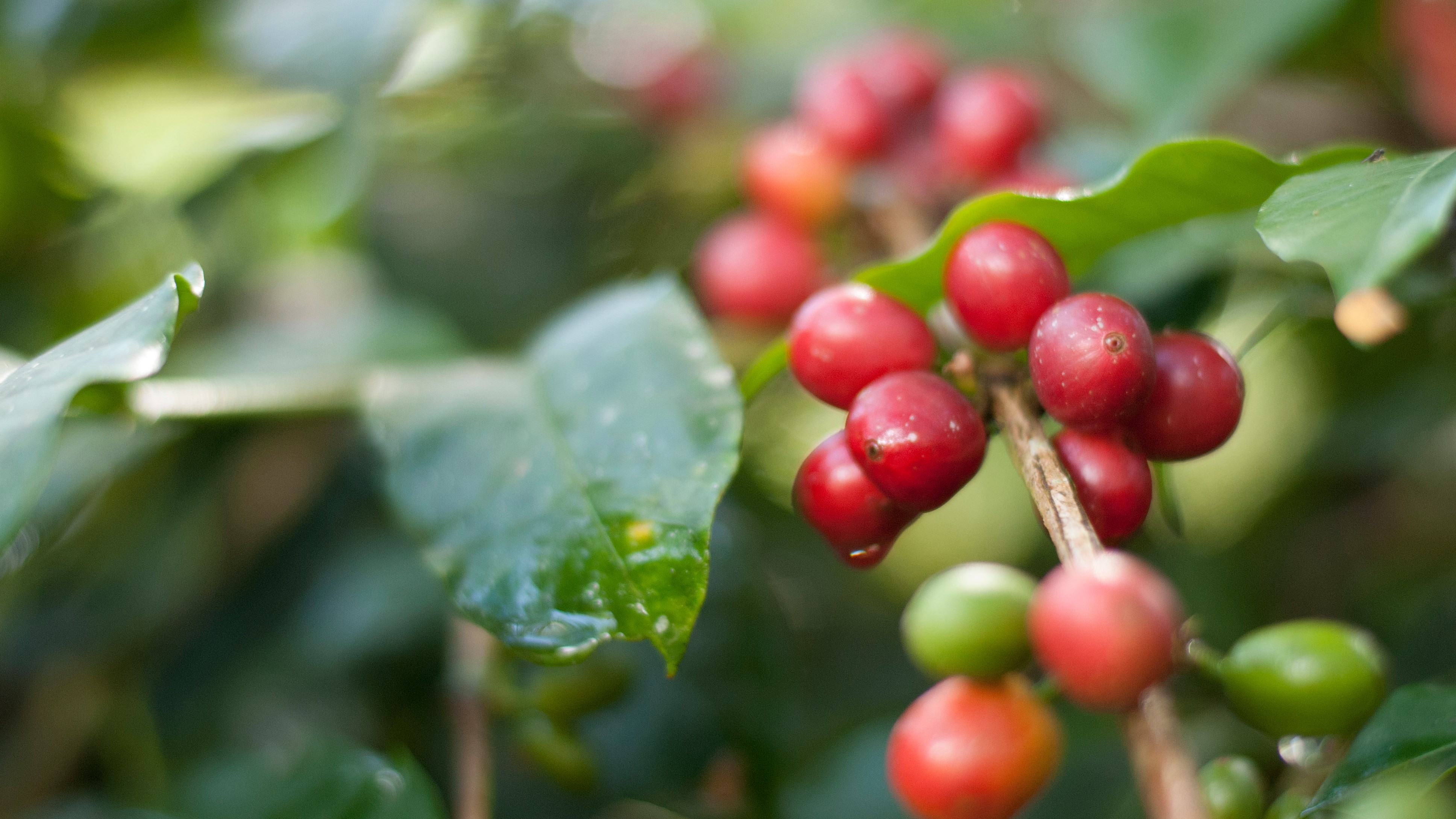 Sustainable Production