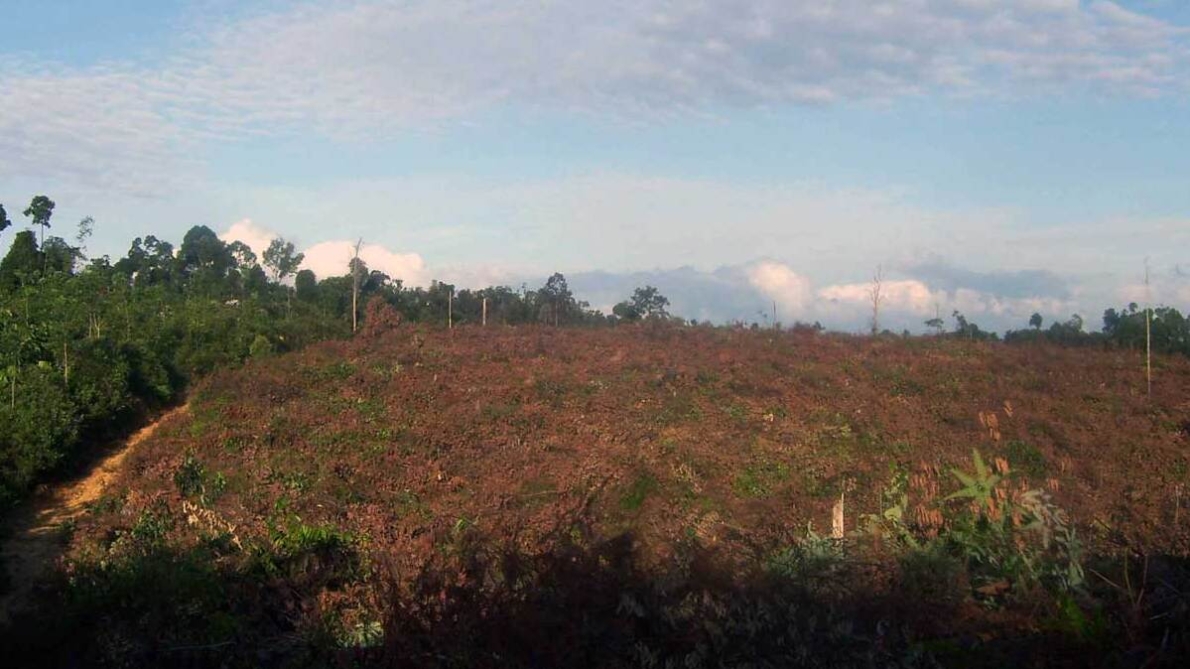 WORLD WETLANDS DAY