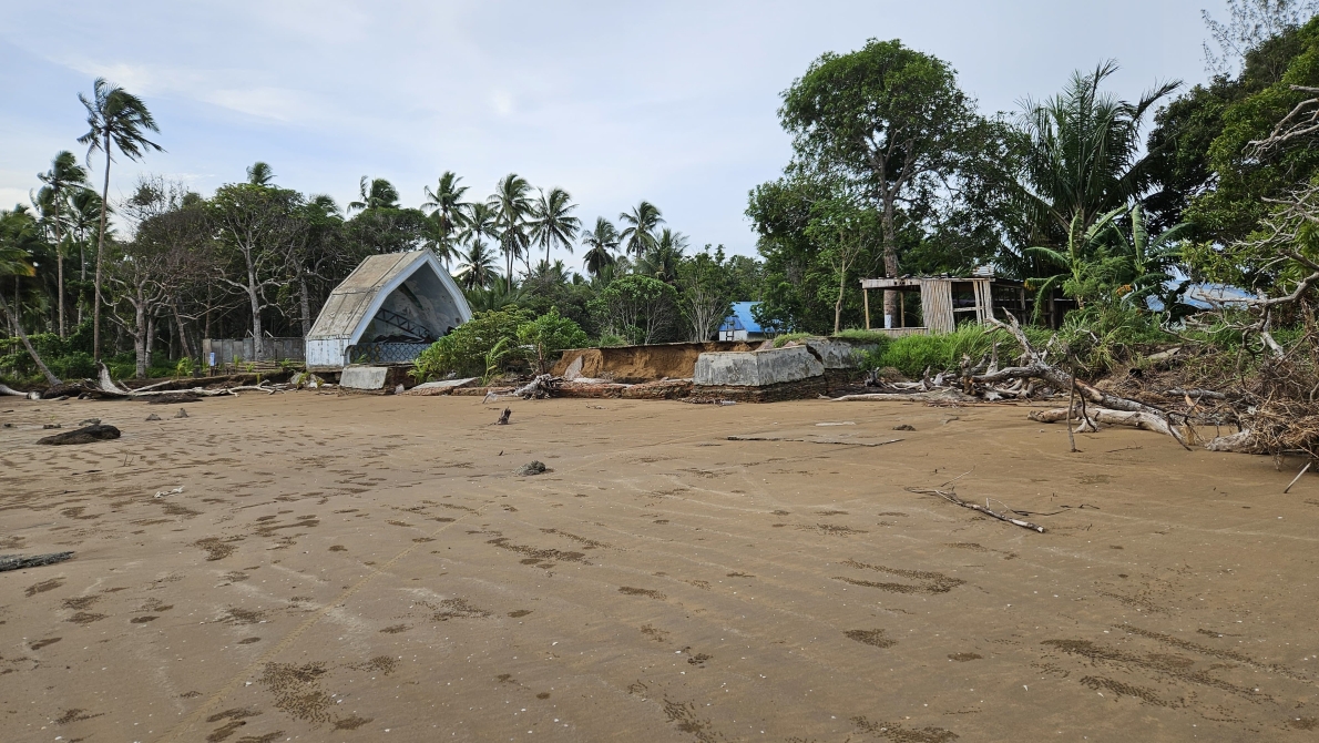 Coastal shoreline