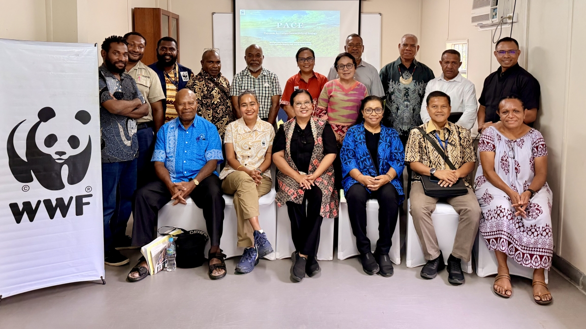 Peserta lintas sektor dari Indonesia dan Papua Nugini menyepakati penguatan kolaborasi riset dan pelestarian alam Pasifik dalam pertemuan Papuasia–Australia Connectivity of Ecology (PACE) di Nature Park Port Moresby, Jumat (15/5/2026).