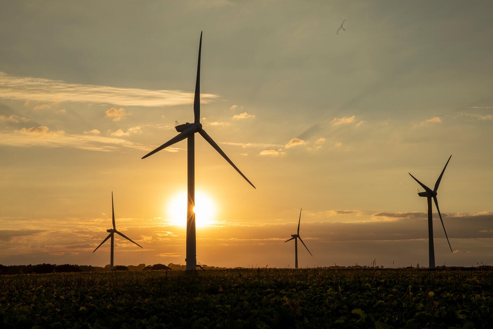 Wind turbines are backlit by the setting sun in Norfolk, UK.