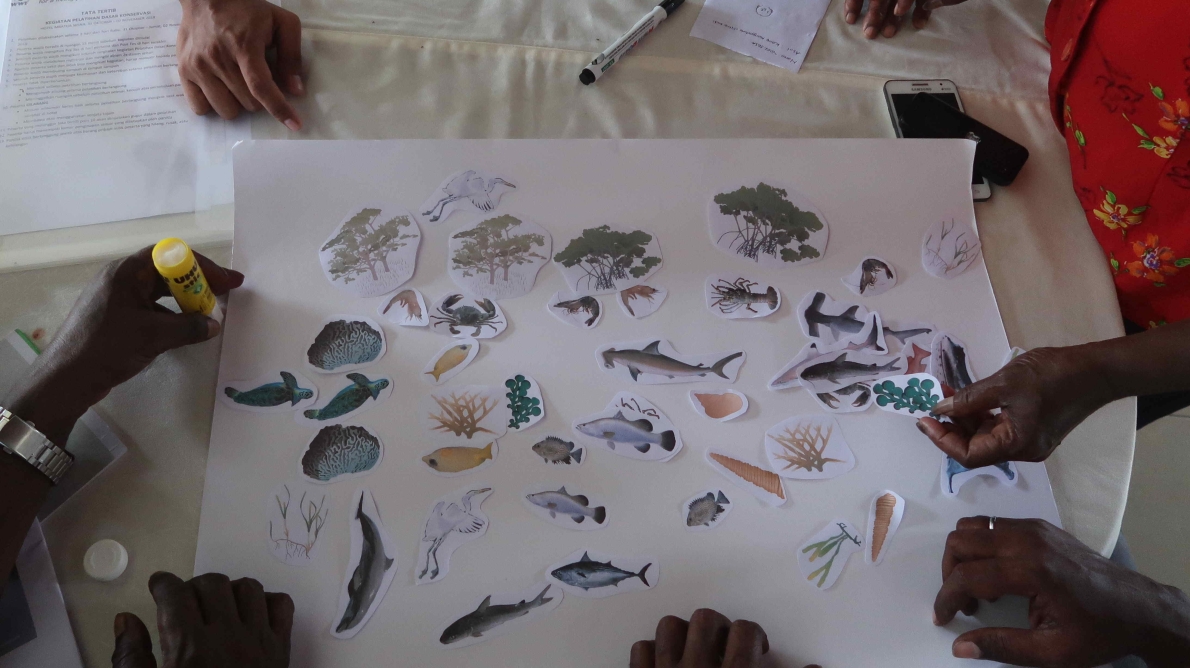 BASIC CONSERVATION TRAINING