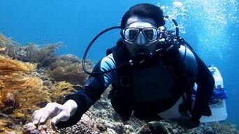 DESA EKOWISATA ALOR