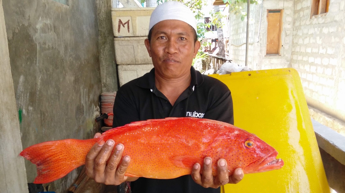 PENANGKAPAN IKAN RAMAH LINGKUNGAN