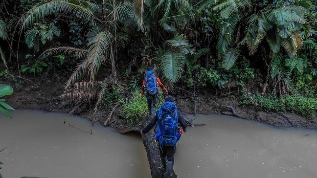 SAVING THE SUMATRAN RHINO