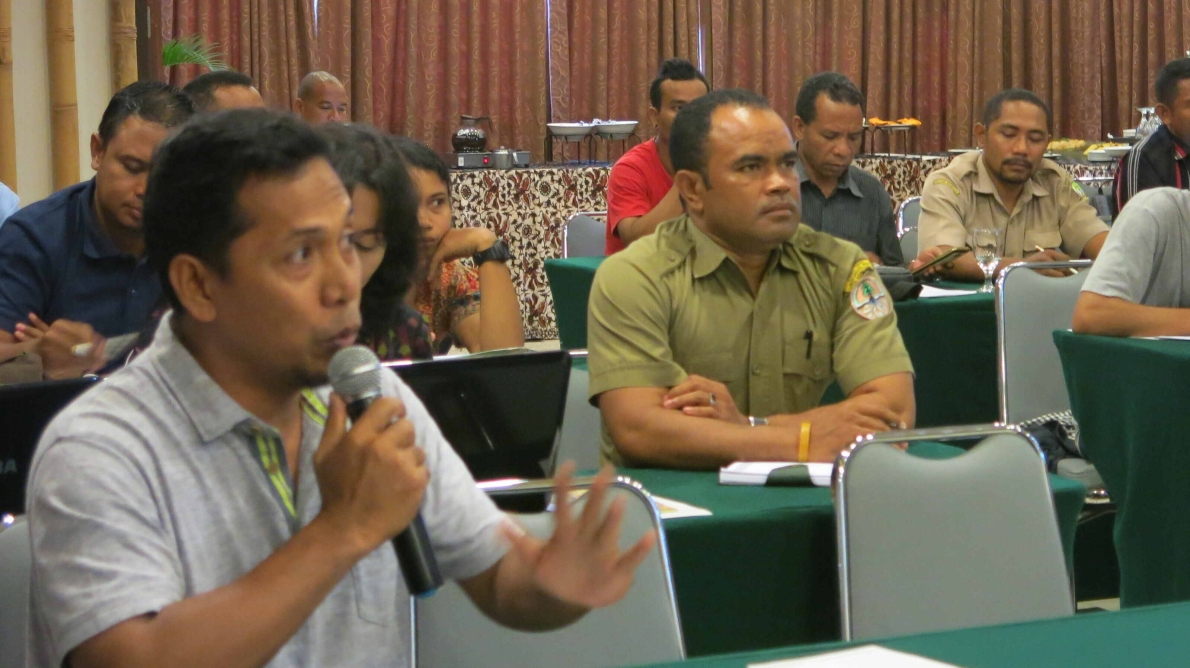 THE ROLE OF NON-STATE ACTORS IN CLIMATE CHANGE