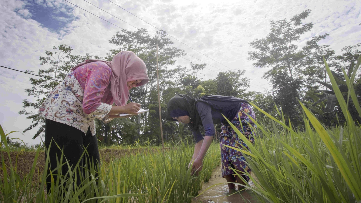 UJUNG KULON NATIONAL PARK COMMUNITY CAPACITY BUILDING