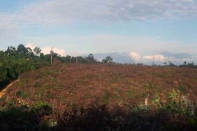 HARI LAHAN BASAH SEDUNIA