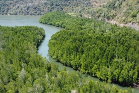 Pemberdayaan Masyarakat Menjaga Ekosistem Mangrove di Dusun Rangko