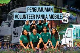 Pengumuman Open Recruitment Panda Mobile Batch 3