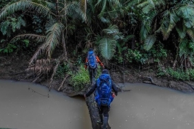 SAVING THE SUMATRAN RHINO